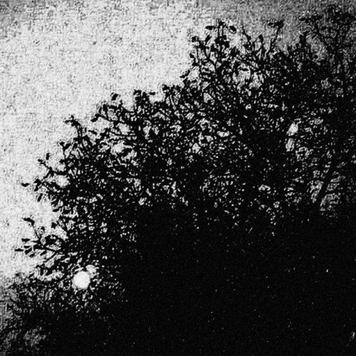 Old Castles : Die Glasfestung